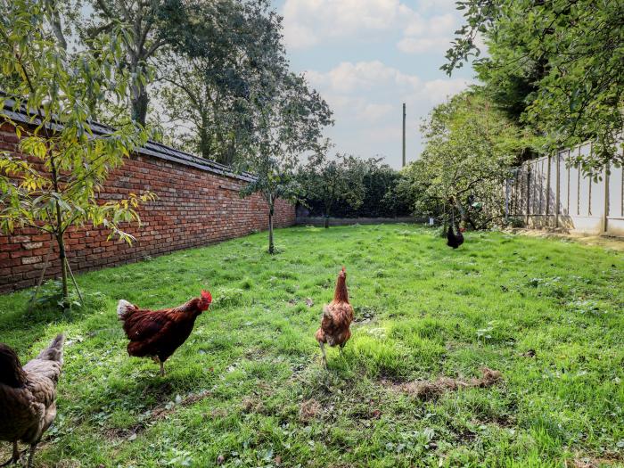 Swallow's Nest near Hibaldstow, Lincolnshire. Single-storey cottage. Woodburning stove. Pet-friendly