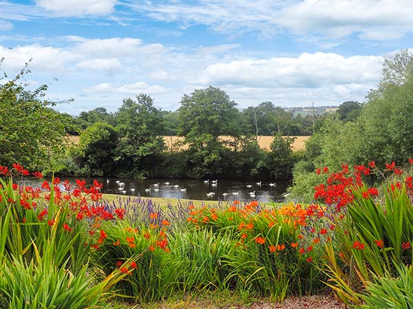 Herons, Heart of England