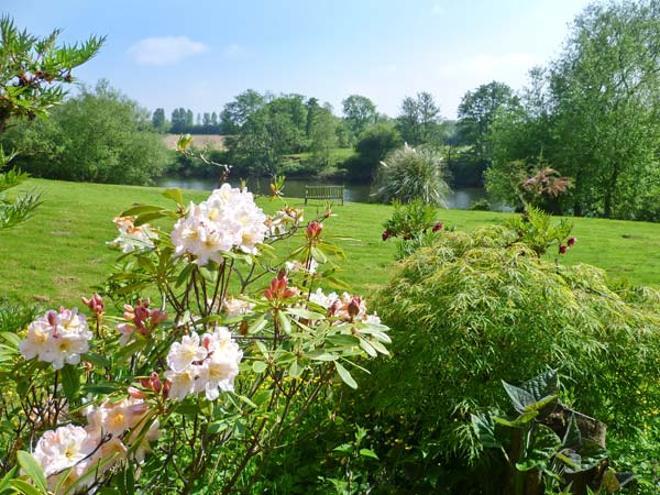 Herons, Heart of England