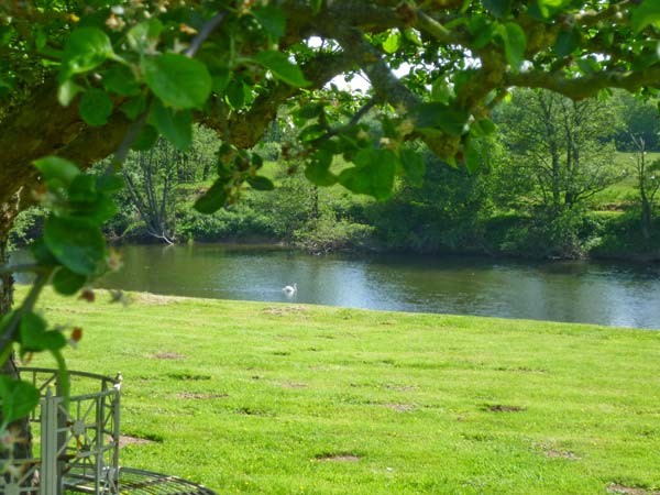 Herons, Heart of England