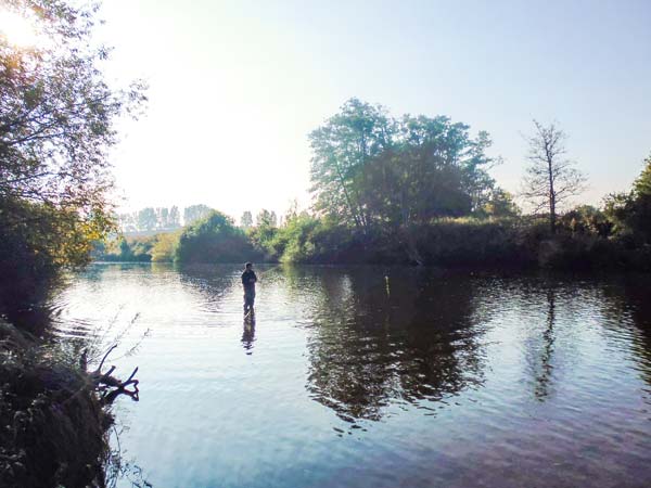 Herons, Heart of England