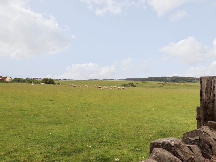 1 Orchard Cottages, Dunstan nr. Craster, Northumberland. Close to shop, pub, harbour. Stunning views