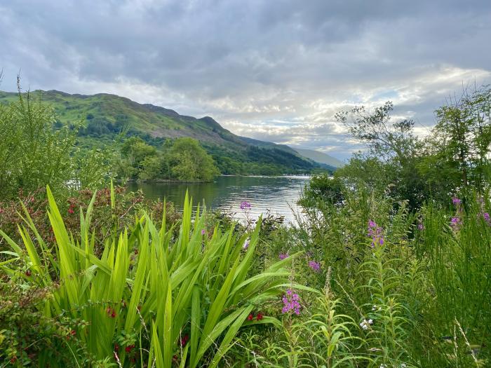 Saorsa, St Fillans