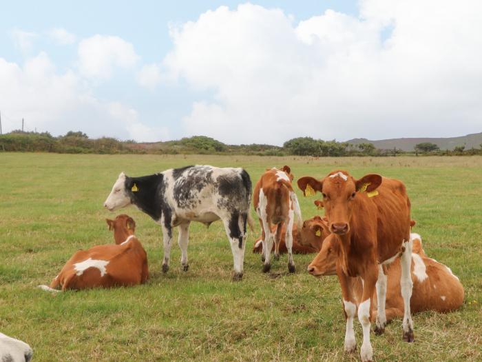 Foxglove Barn is near St Ives, Cornwall. One-bed home, ideal for couples. In AONB. Open-plan living.