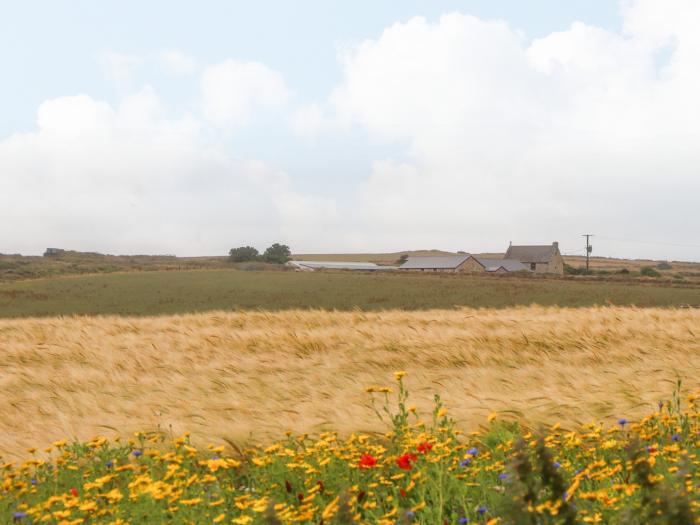 Foxglove Barn is near St Ives, Cornwall. One-bed home, ideal for couples. In AONB. Open-plan living.