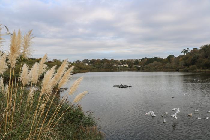 Alberts Den is in Falmouth, Cornwall. Close to amenities and a beach. Near The Lizard Heritage Coast