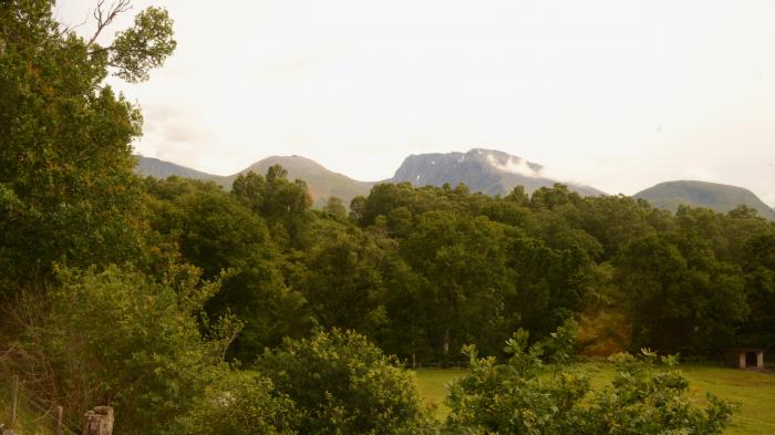 Shepherds Rest in Banavie, Highlands. Pet-friendly. Private parking. Woodburning stove. Garden. WiFi