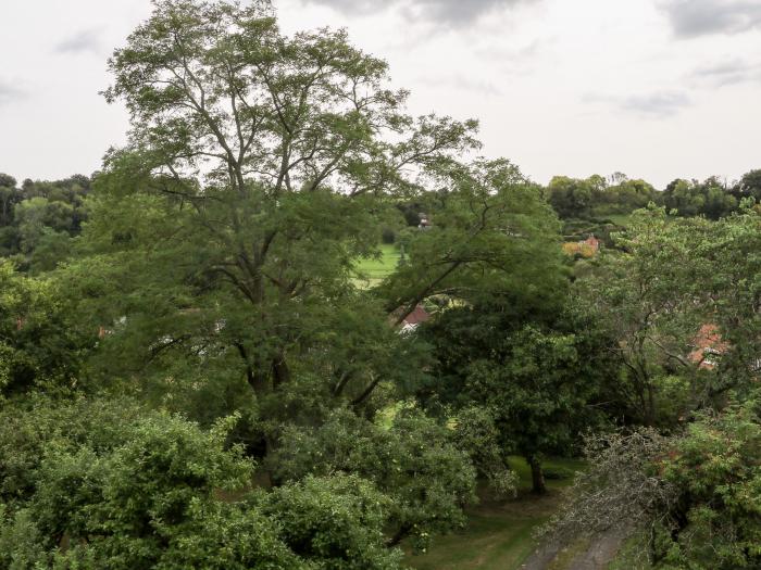 Hapton Folly, Hambledon, Hampshire. Roof terrace. Countryside view. Off-road parking. Quaint. Unique