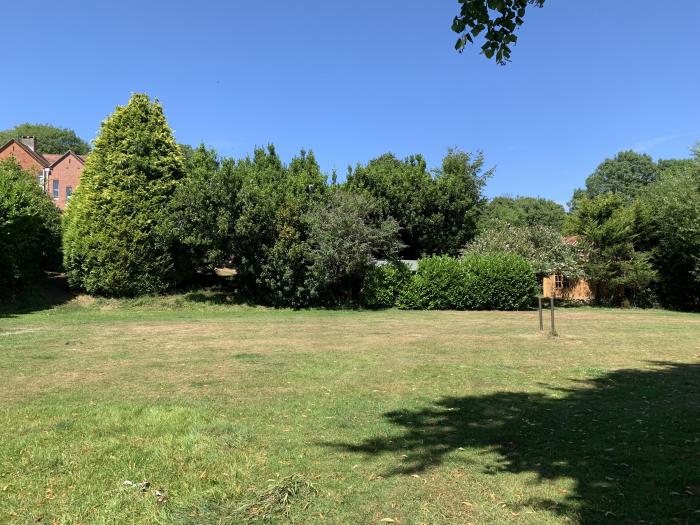 Red House, near Lyme Regis, Devon/Dorset border. Large family home set in spacious grounds. Two pets