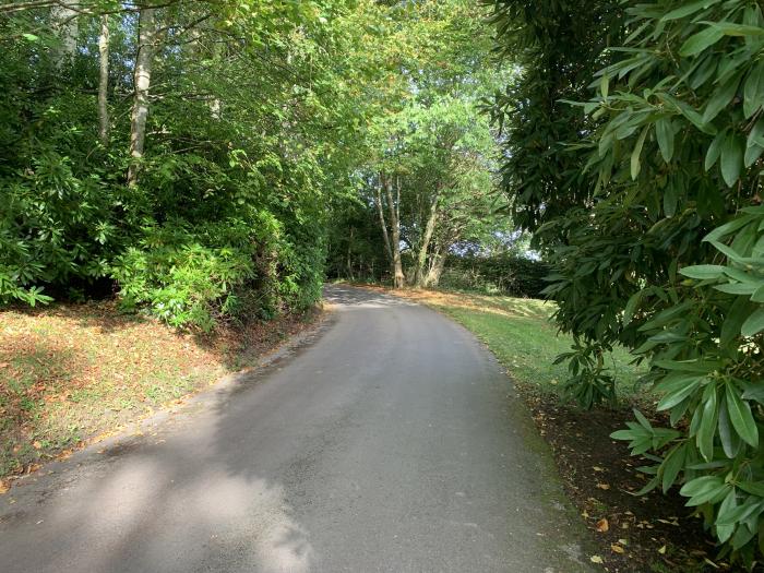 Red House, near Lyme Regis, Devon/Dorset border. Large family home set in spacious grounds. Two pets