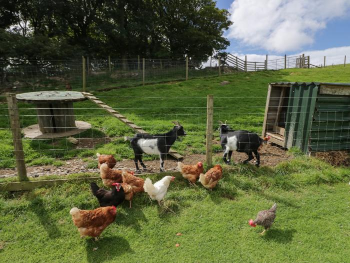 Orchard in Dalton-In-Furness, Cumbria. Single-storey pod, ideal for couples. Rural and estuary views