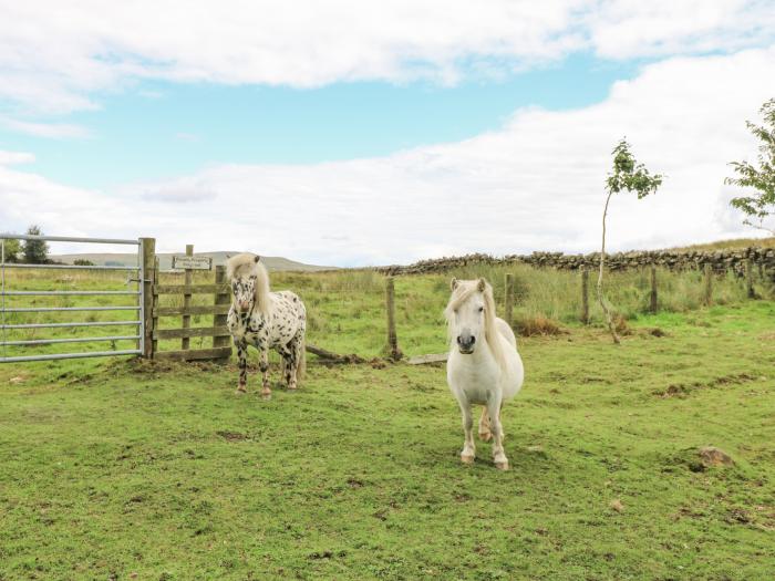 The LA'AL Cragg, Kirkby Stephen