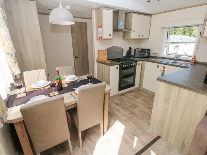 20 Woodpecker Lodge, Llanarth, Ceredigion. Single-storey lodge with open-plan living space. Smart TV