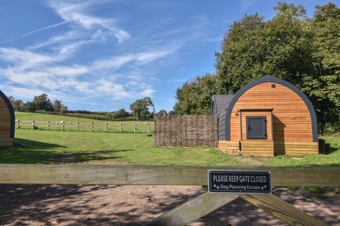 Maple near Charmouth, Dorset. Two-bedroom pod with countryside views. Open-plan living. Pet-friendly