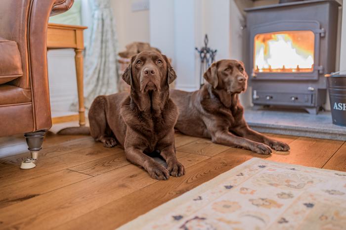 Gate House, is in Coniston, Cumbria. Four-bedroom home with stunning riverside views. Hot tub. Pets.