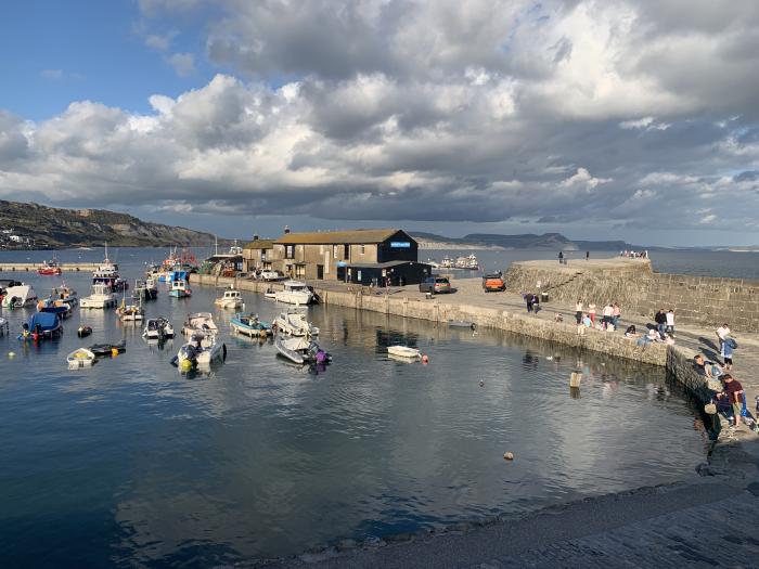 Seaward, Lyme Regis, Dorset. Ground-floor apartment near beach and amenities. In AONB. Pet-friendly.