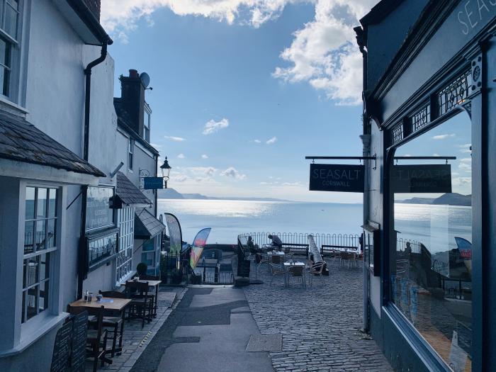 Seaward, Lyme Regis, Dorset. Ground-floor apartment near beach and amenities. In AONB. Pet-friendly.