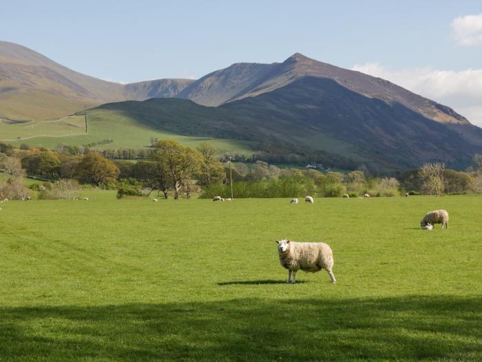 The Bothy is in Keswick, in Cumbria. Single-storey lodge with rural views. In national park. Family.