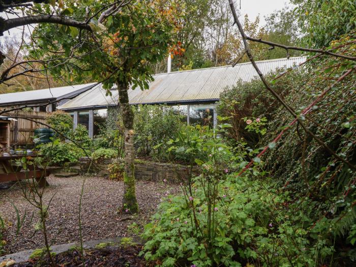 Forest View Barn nr Beguildy, Powys. One-bedroom cowshed conversion. Countryside views. Pet-friendly