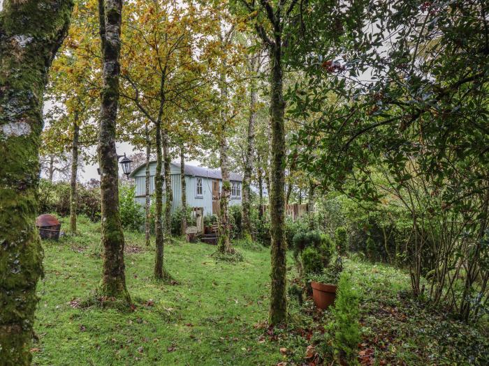 Nadine is near Beguildy, Powys. Single-storey hut, offering a couple's retreat. Rural. Pet-friendly.