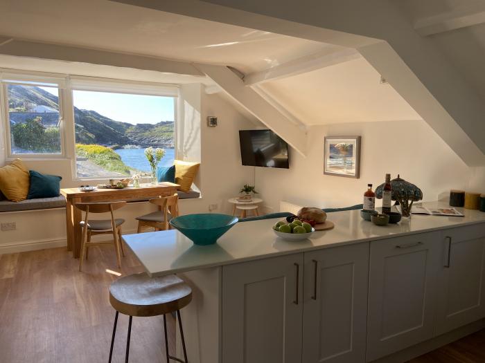 Harbour Light, Boscastle, Cornwall. Riverside views. Pet-friendly. Local walks. Close to shop, pubs.