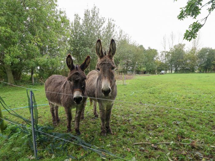 Ratty's Retreat, Candlesby near Partney, Lincolnshire. Countryside views. Near AONB. Pets. WiFi. TV.