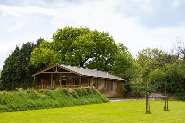 Tarka's Holt Log Cabin, Torrington, Devon. Set on a spacious parkland with on-site facilities. WiFi.