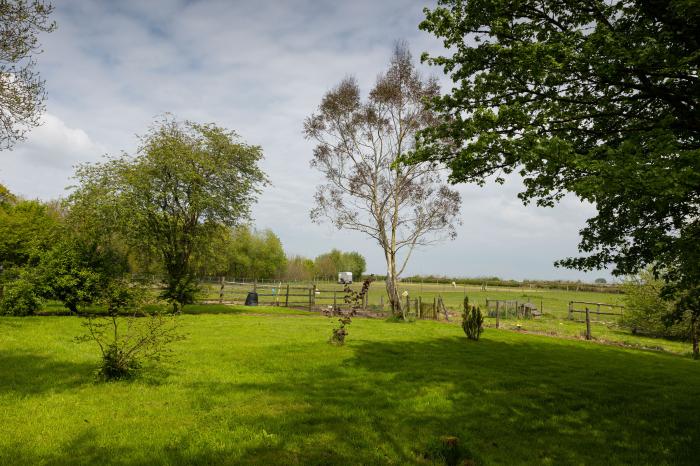 Tarka's Holt Log Cabin, Torrington, Devon. Set on a spacious parkland with on-site facilities. WiFi.