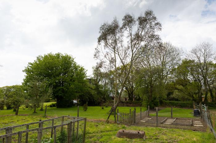 Tarka's Holt Log Cabin, Torrington, Devon. Set on a spacious parkland with on-site facilities. WiFi.