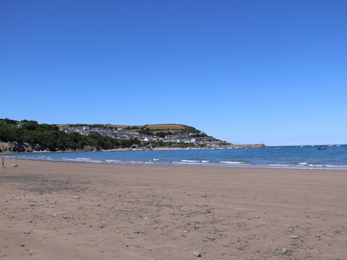 Hafan Taffy (Number 32), near Llanarth, Ceredigion. Pet-friendly lodge near the beach and amenities.