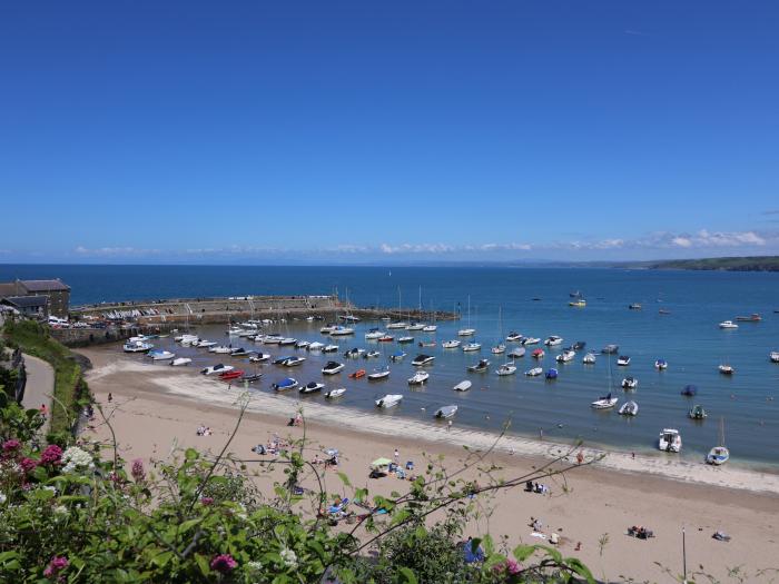 Hafan Taffy (Number 32), near Llanarth, Ceredigion. Pet-friendly lodge near the beach and amenities.