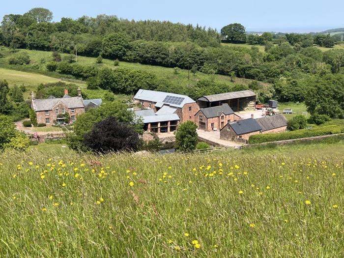 Mill Pond Cottage, near Williton, Somerset. Set on a working farm. Rural location. Pet-friendly. TV.