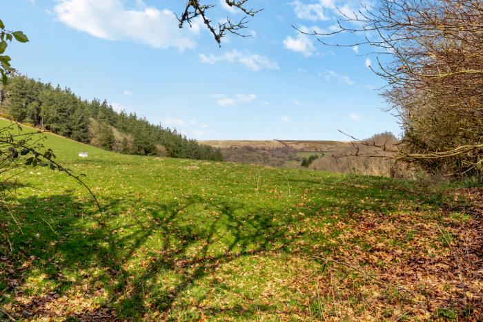 Whitley Farm in Molland, Devon. Detached, 17th century farmhouse. Countryside location. Pet-friendly