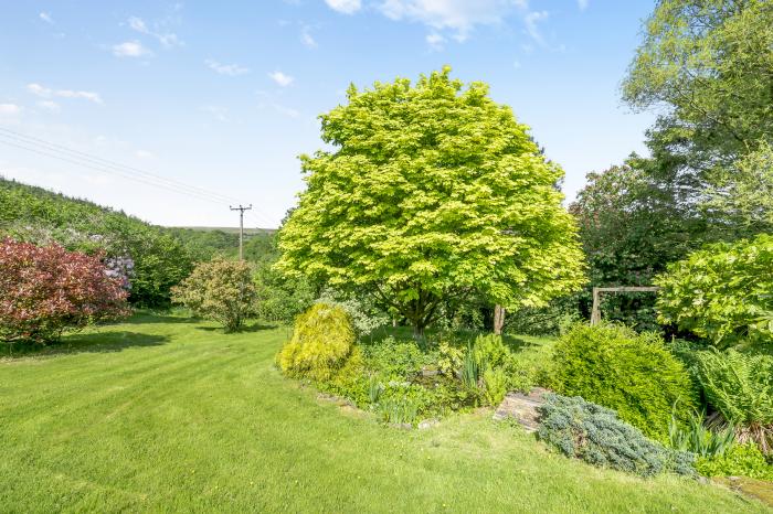 Whitley Farm in Molland, Devon. Detached, 17th century farmhouse. Countryside location. Pet-friendly