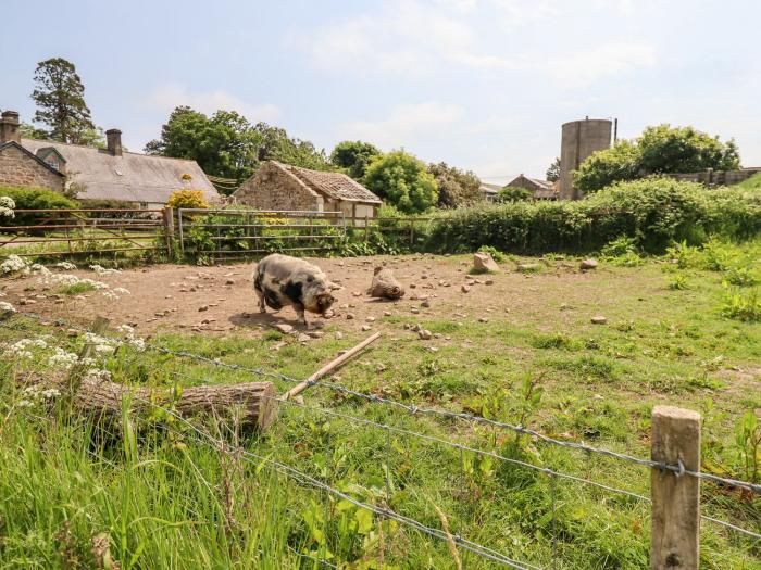 Cherry Tree Cottage, Fallodon near Embleton, Northumberland. Near beach. Near National Park. Pet. TV