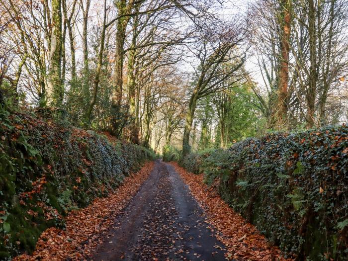 Dishcombe Cottage, Sticklepath