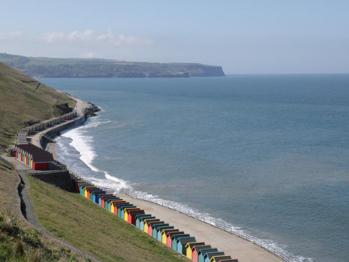 Waddleduck, North York Moors and Coast