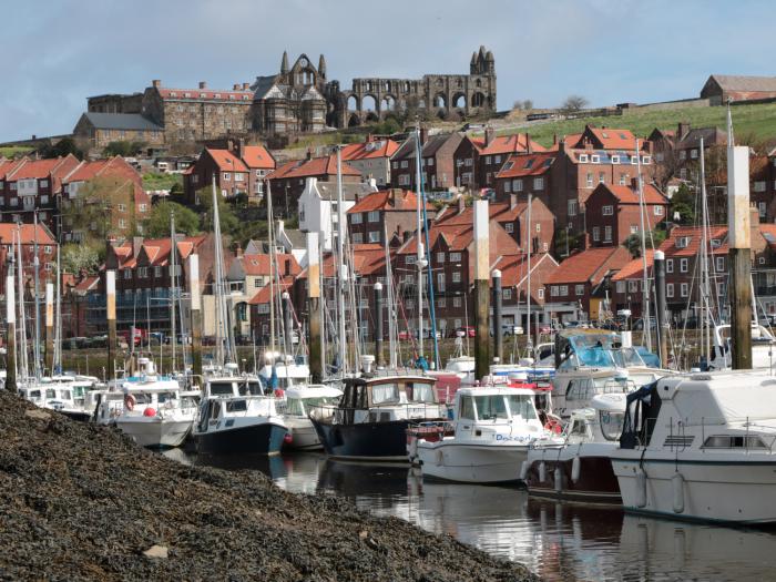 Waddleduck, North York Moors and Coast