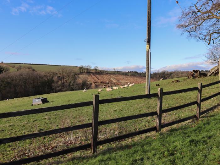 Coombe Cottage, Beaples Barton near South Molton, Devon. Near a National Park. Pet-friendly. Fishing