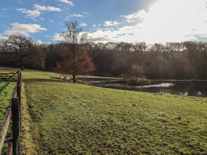 Coombe Cottage, Beaples Barton near South Molton, Devon. Near a National Park. Pet-friendly. Fishing