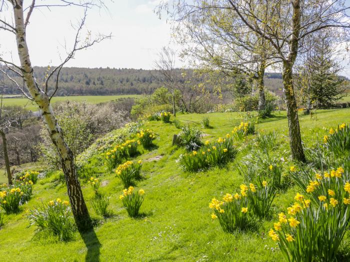 The Loft, North York Moors