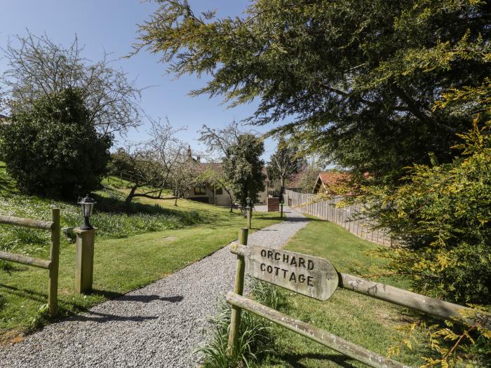 Orchard Cottage, Washford