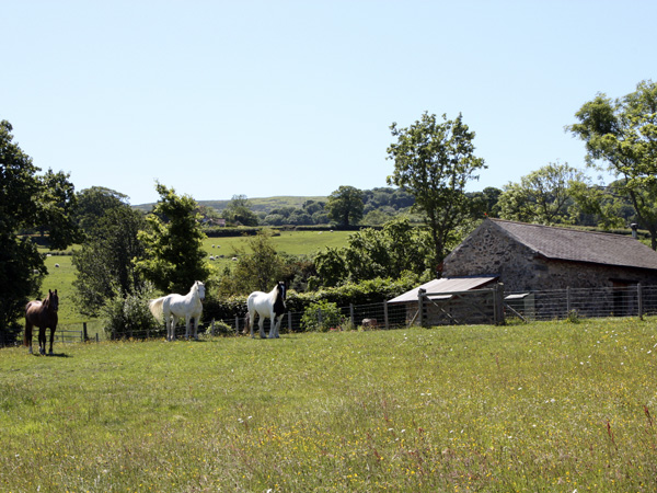 The Shippon, Wales