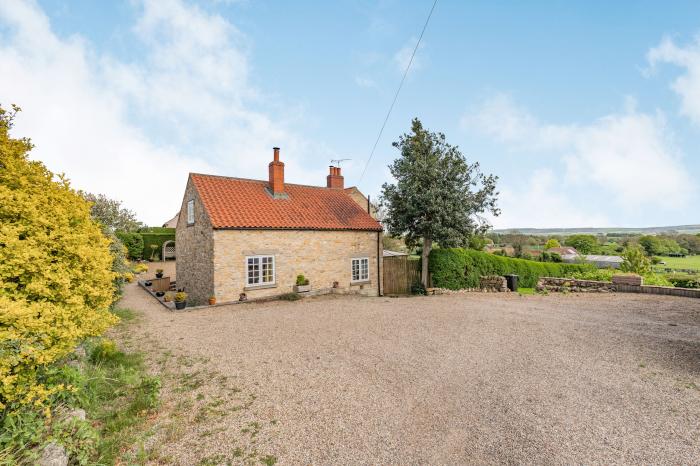 The Wood, North York Moors And Coast