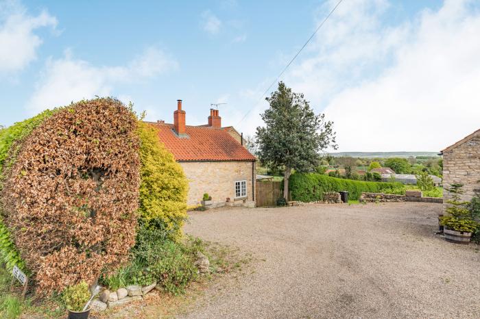 The Wood, North York Moors And Coast