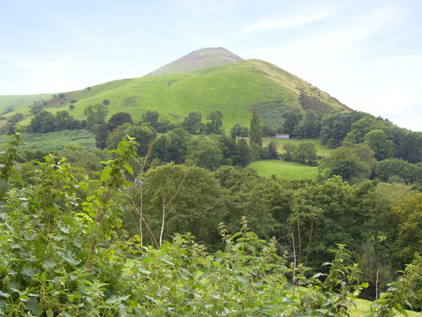 The Byre, Heart Of England