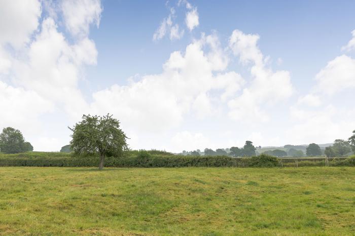 Meadow Lea, Heart of England