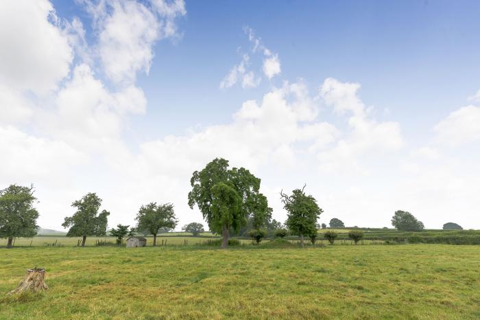 Meadow Lea, Heart of England