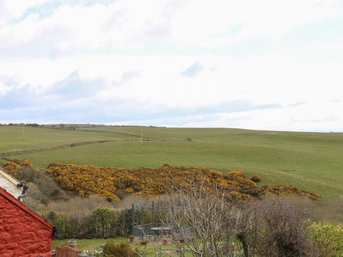 The Grain Store, Wales