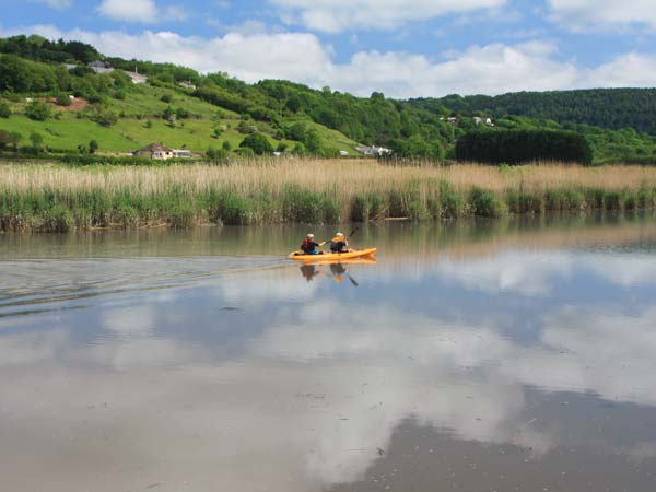 Tuckermarsh Quay River Cottage 2, Devon